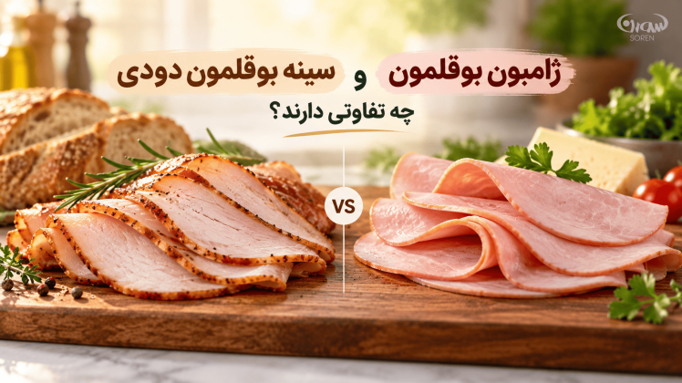 سینه بوقلمون دودی و ژامبون بوقلمون چه تفاوتی دارند؟