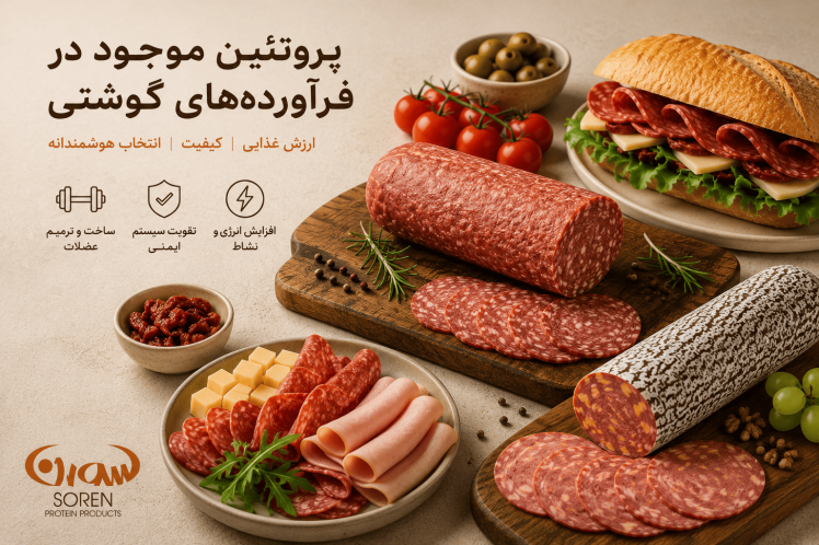 پروتئین موجود در فرآورده‌های گوشتی؛ چرا کیفیت پروتئین از مقدار آن مهم‌تر است؟