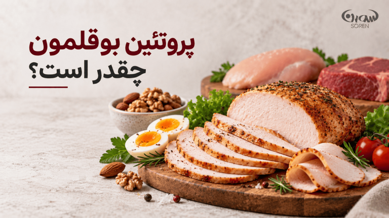 پروتئین بوقلمون چقدر است؟ مقایسه با مرغ و گوشت قرمز