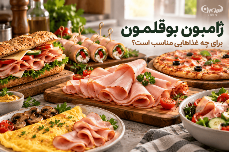 ژامبون بوقلمون برای چه غذاهایی مناسب است؟