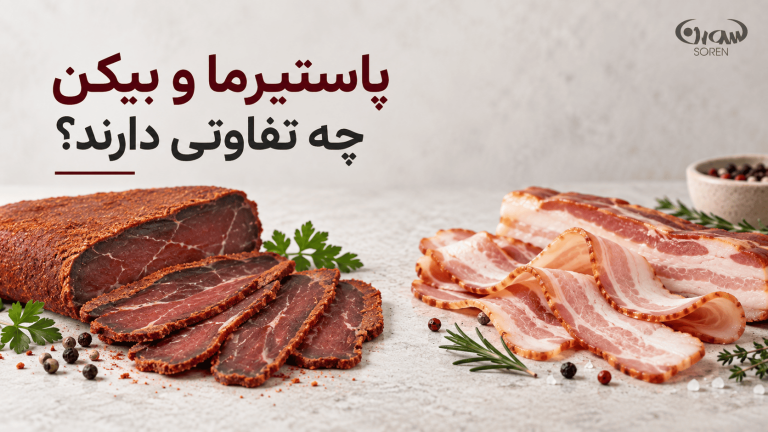 پاستیرما و بیکن چه تفاوتی دارند؟